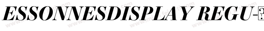 ESSONNESDISPLAY REGU字体转换